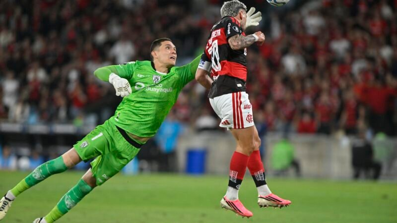 Análise: Flamengo fica perto de desastre e reaprende que favoritismo só se confirma em campo