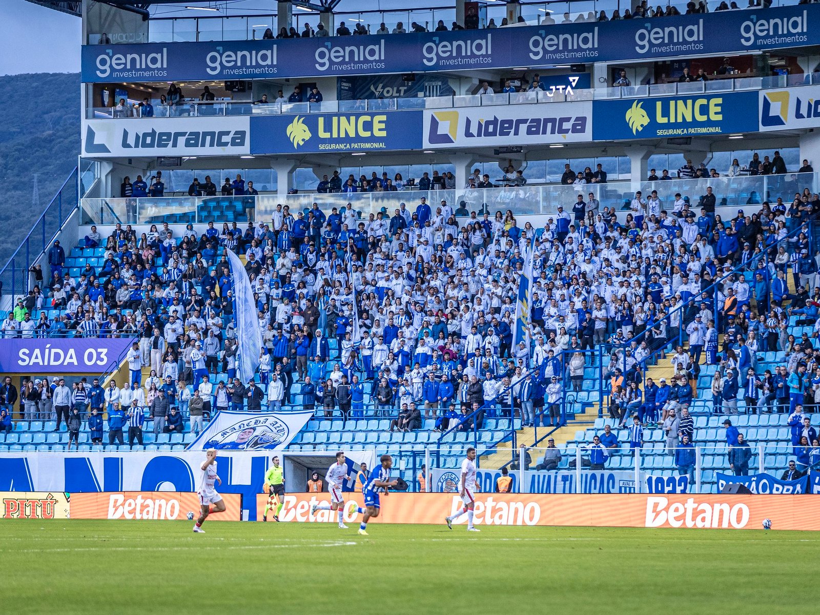 Avaí faz campanha com torcedores para arrecadar R$ 500 mil até o fim da Série B