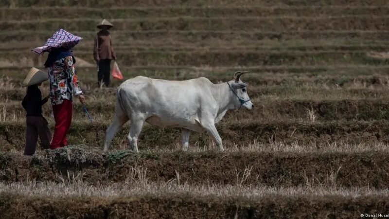 Clima e escassez alimentar elevam risco de guerras no mundo