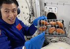 Made in China: como funciona a primeira air fryer do espaço