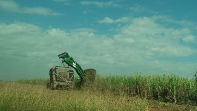 Biocombustível: chuvas atípicas impulsionam preços do etanol mesmo com estoque robusto no mercado paulista, analisa USP