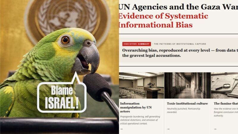 Governo Netanyahu chama críticos de ‘papagaios’ e acusa ONU de ‘viés sistemático’ contra Israel; VÍDEO