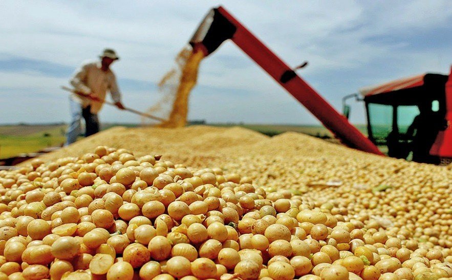 PIB desacelera, mas cresce 0,5% no 2º trimestre, puxado pela agropecuária, diz IBGE