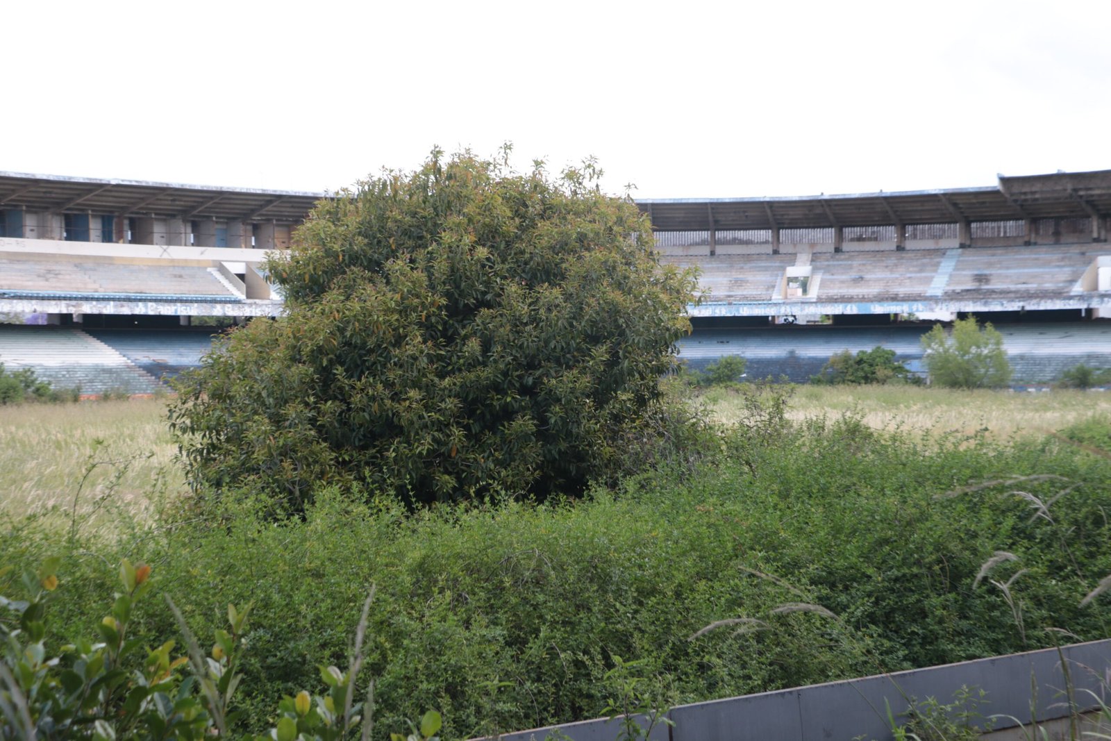 Veja sete estádios que já receberam a Seleção e estão abandonados ou sofrem com a falta de jogos