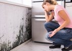 Aprenda a reduzir a umidade em casa e evitar mofo nos ambientes
