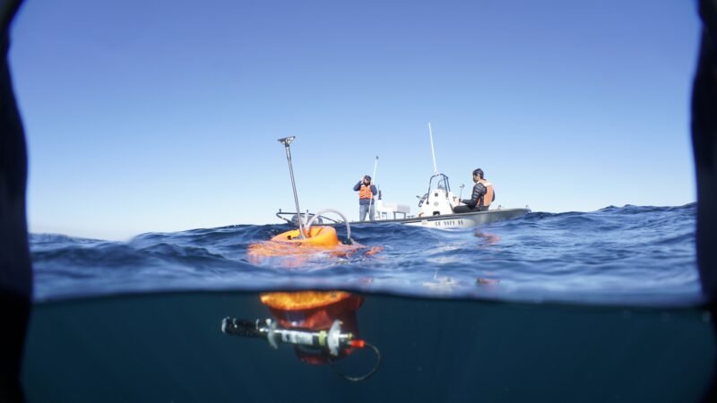 Do peixe à energia: como o calor recorde dos oceanos pode encarecer alimentos e afetar turismo