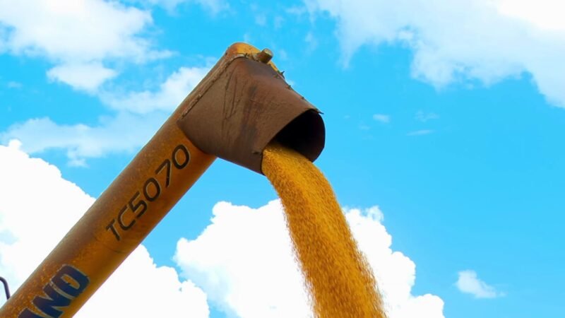 PIB perde força no 2º tri: os 3 desafios para o próximo presidente na economia