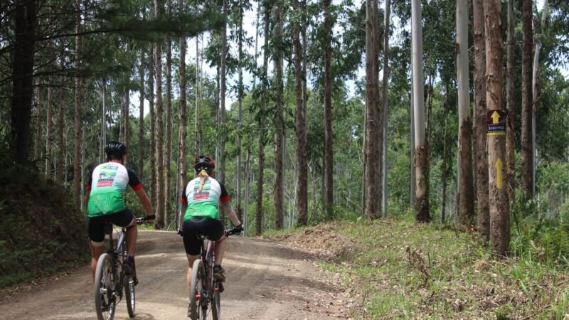Confira as novas categorias do UCI Gran Fondo 2026 em Timbó