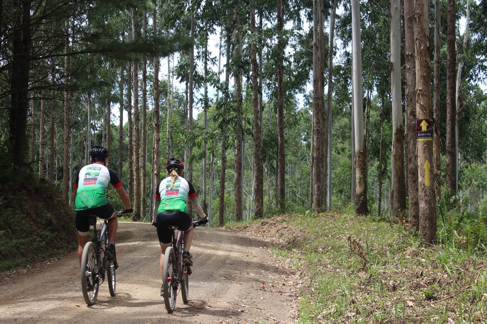 Confira as novas categorias do UCI Gran Fondo 2026 em Timbó
