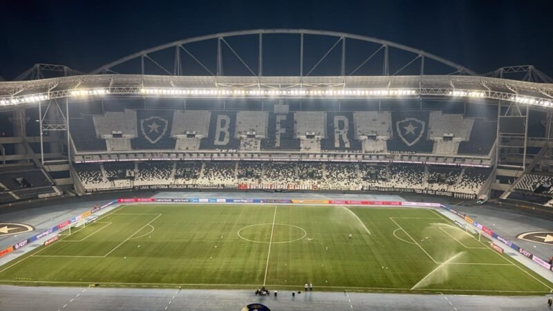 Botafogo x Palmeiras: onde assistir ao vivo, horário e escalações