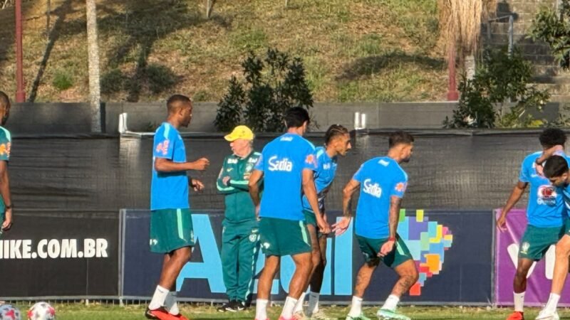 Com torcedores nas árvores, Seleção faz primeiro treino na Austrália com grupo reduzido