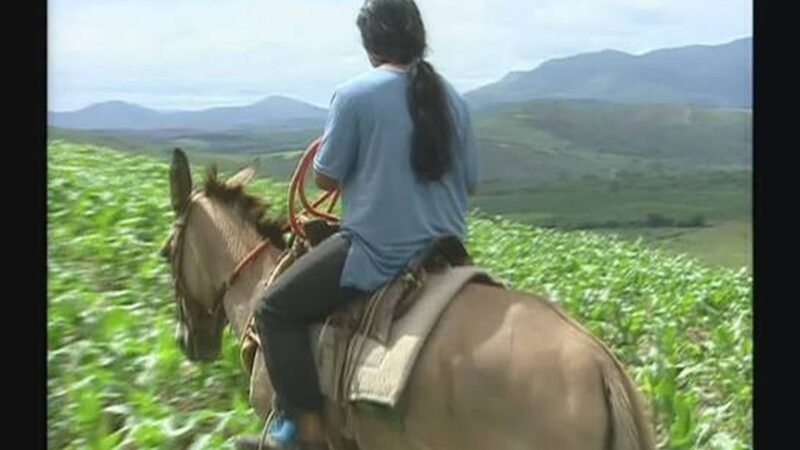 Baú do Globo Rural: relembre a história das filhas de seu ‘Zé Izá’, família que vivia isolada na Serra da Canastra