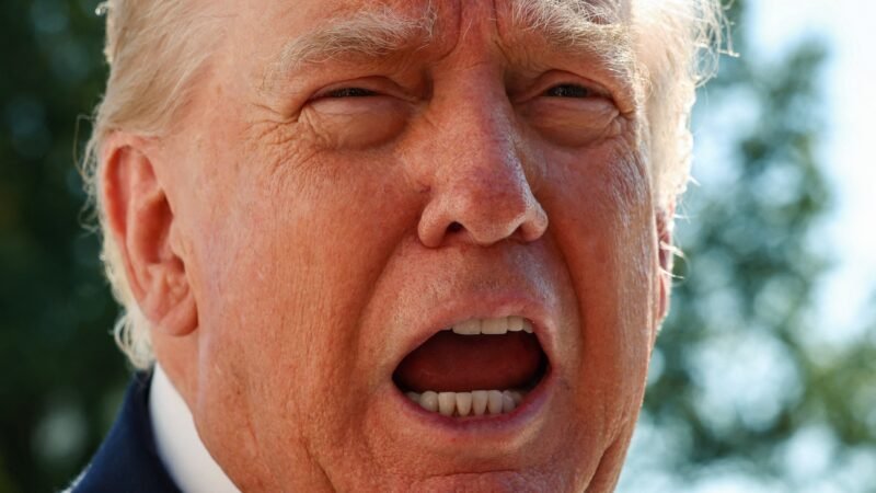 Trump anuncia pacote de US$ 8 bilhões para agricultores, às vésperas das eleições nos EUA
