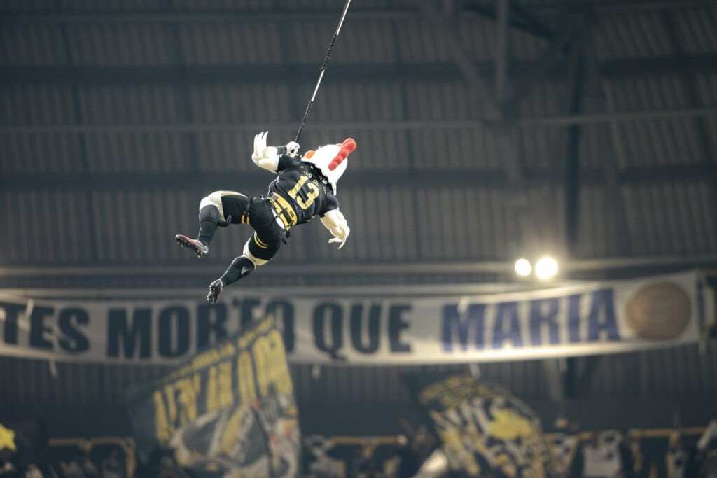 Pêndulo humano: veja como o Atlético-MG planejou salto do ‘Galo Doido’ do teto da Arena MRV