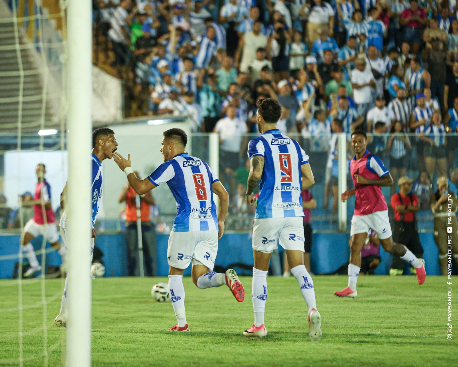 Veja o que o Paysandu precisa para garantir o acesso