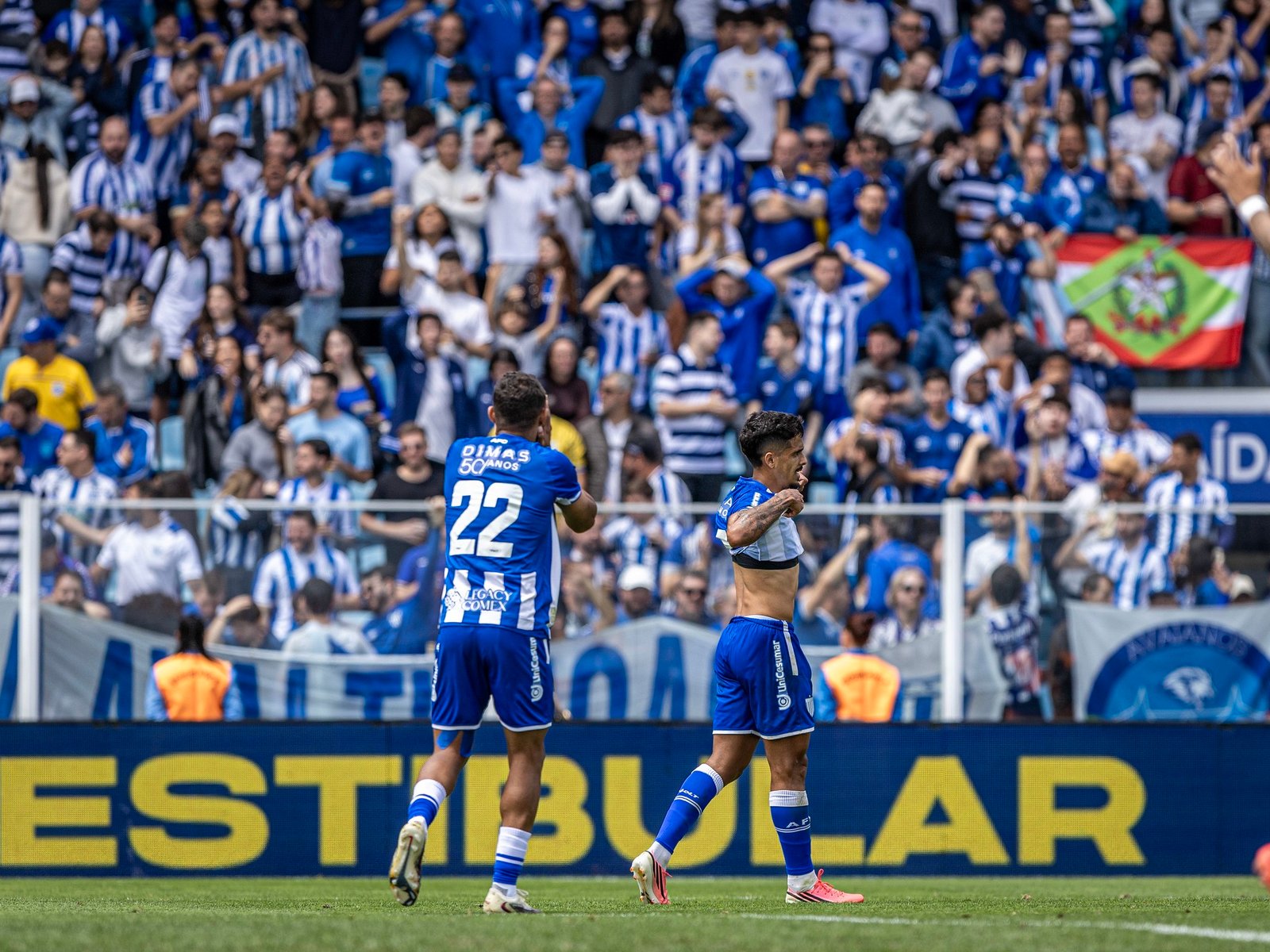 Avaí registra o maior número de derrotas em uma edição de Série B