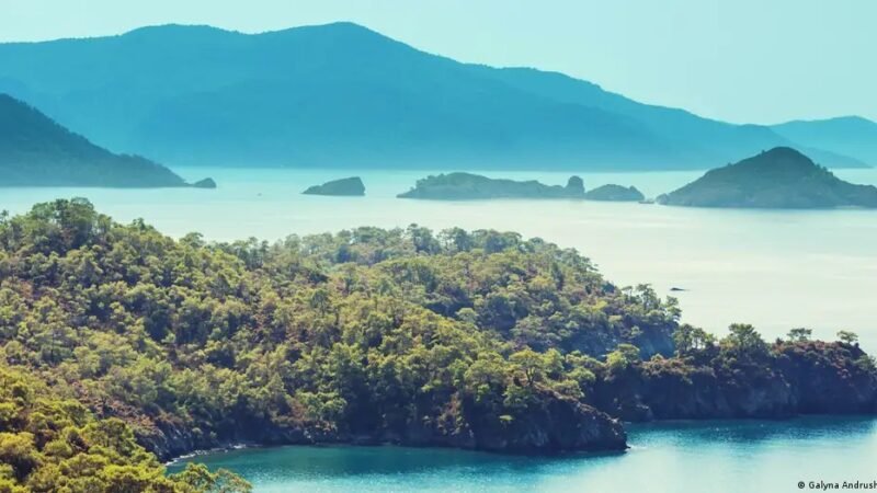 Naufrágio mais antigo do mundo: arqueólogos encontram navio que afundou há quase 5 mil anos na Turquia