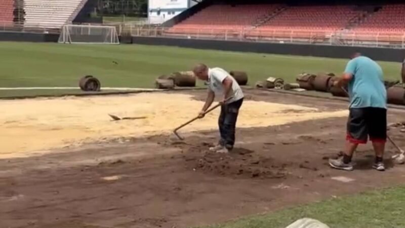 Gramado do Novelli Júnior passa por nova etapa de revitalização para 2027