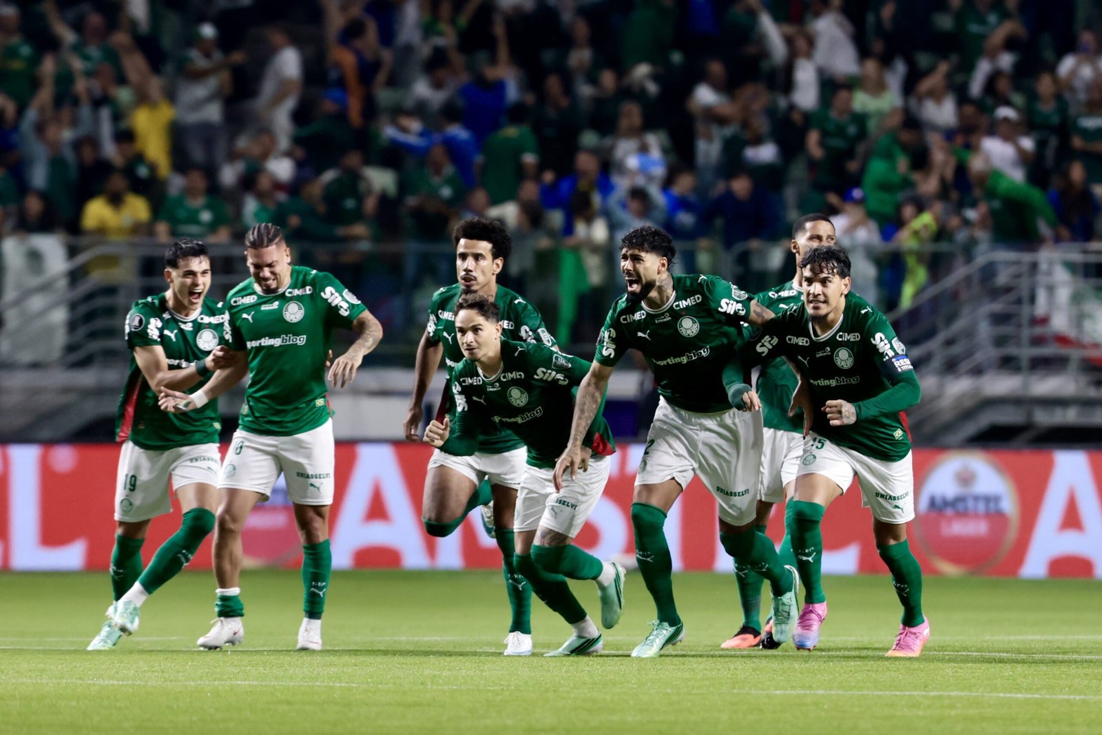 Paulinho: exame detecta trauma na panturrilha direita do atacante do Palmeiras