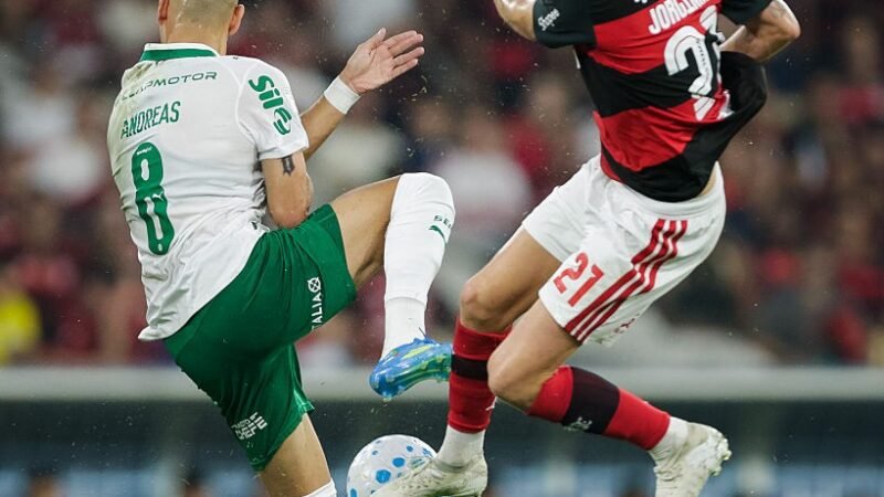 Rizek elogia atuações de Flamengo e Palmeiras como visitantes: “Diferença de nível”