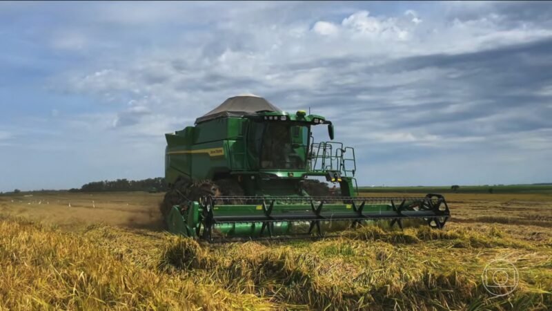 Faturamento das 10 maiores empresas do agro cresce 11% e chega a R$ 1,24 trilhão; veja ranking