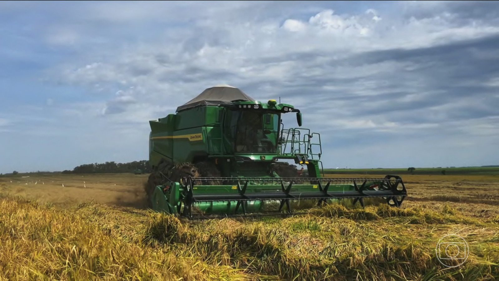 Faturamento das 10 maiores empresas do agro cresce 11% e chega a R$ 1,24 trilhão; veja ranking