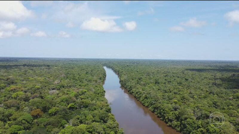 Alemanha afirma que vitória de Lula é boa notícia para Amazônia