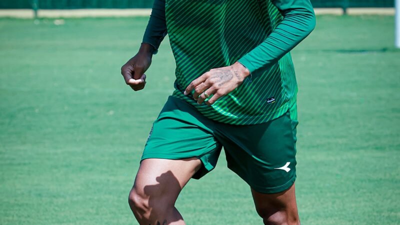 Luiz Felipe é punido pelo STJD e desfalca o Goiás contra o Náutico