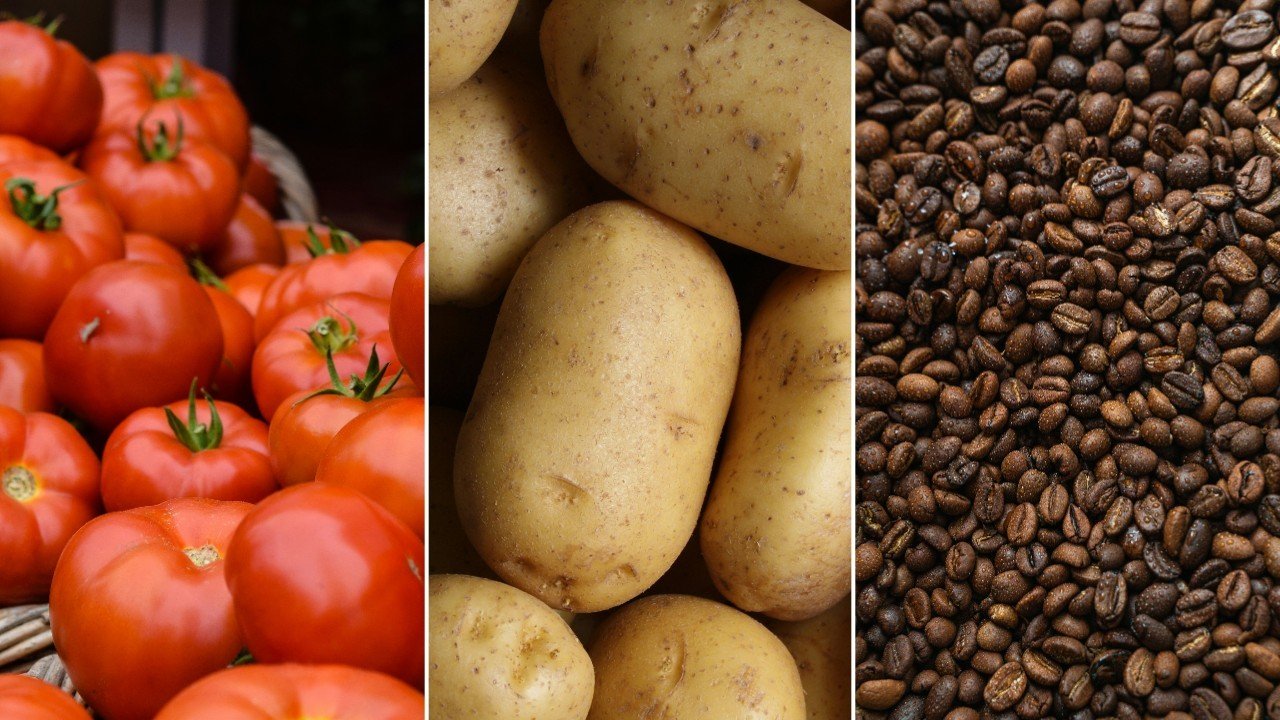 Preço dos alimentos: o que ficou mais caro e o que barateou na prévia da inflação de outubro