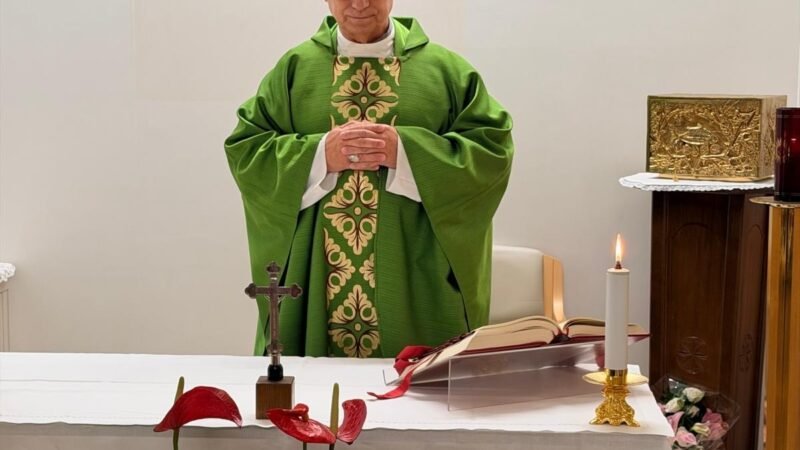 Vaticano divulga primeiras FOTOS de papa Leão XIV após cirurgia para retirada de câncer; VEJA