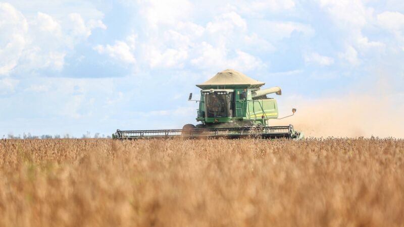 Do campo ao Planalto: os problemas que o agro quer ver resolvidos pelo próximo presidente