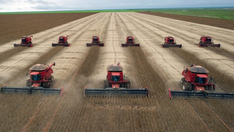 Do endividamento à imagem ruim: os problemas que o agro quer ver resolvidos pelo próximo presidente