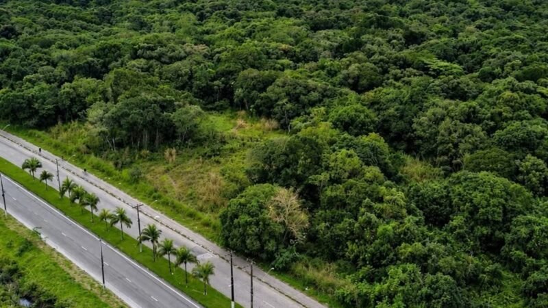 Santos avança em processo para construção de centro de treinamento em São Vicente
