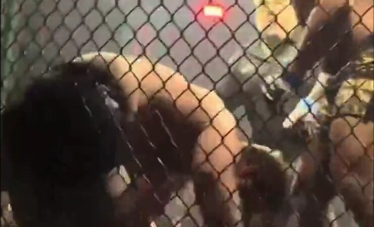 Filho de ex-campeão do UFC sofre nocaute brutal em luta amadora de MMA; assista